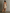 Women's Minimalist Linen Blend Strapless Mini Dress MDZ1223B2Y