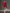 Sporty Stand Collar Zip-up Contrasting Trim Long-sleeved Mini Dress