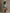 Western Retro Light Blue Faux Suede Sleeveless Tassel Mini Dress