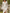 Retro White Lace V-neck Long Sleeve Tassel Short Front And Long Back Skirt Maxi Dress