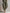 Sleeveless Stand Collar Top & Balloon Harem Pants Two-Piece Set