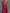 Vintage Casual Sporty Hooded V-neck Front Zip Lace Trim Sleeveless Raspberry Red Cotton Maxi Dress