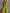 Casual Retro Western Collar Front Zipper Bright Green Cotton Linen Jumpsuit