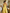 Women's Minimalist Striped Lapel Sleeveless Maxi Dress MDZ1099D5Y