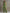 Casual Retro Green Cotton Linen Sleeveless Zip-up Shirt And Wide-leg Pants Set