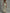 Retro Floral Ruched V-Neck Maxi Dress