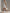 Casual Retro White Sleeveless Collared Button-down Pleated Cotton Linen Mini Dress