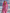 Sporty Zip-up Hooded Leopard-print Velvet Maxi Dress