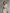 Women's Slim Fit Half Turtleneck V-Neck Long Sleeve Knitted Belted Midi Dress MDA1683I7Y