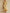 Stand-Collar Cotton-Linen Maxi Dress With Patch Pockets