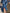 Stylish And Elegant Blue V-neck Midi Dress