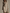 Minimalist Beige Knit Bodycon Midi Dress