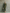 Women's Army Green Cotton Blended Maxi Dress MDA2281I8T