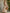 Retro Elegant Pink Floral Off-white Short-sleeved Square Neck Chiffon Maxi Dress