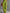 Casual Retro Western Collar Front Zipper Bright Green Cotton Linen Jumpsuit