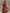Women's Red Cotton Dress With Spaghetti Straps & Square Neck, Timeless Boho-Resort Style Dress MDZ0924C3I