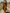 Western Retro Brick Red Cotton Long Sleeve Tassel Maxi Dress
