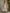 Retro Elegant Pink Floral Off-white Short-sleeved Square Neck Chiffon Maxi Dress