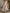 Retro Elegant Pink Floral Off-white Short-sleeved Square Neck Chiffon Maxi Dress