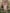 Western Retro Pink Long-sleeved Tassel Midi Dress