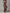 Urban Nomad Leopard Print Flower High Slit Maxi Dress