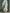 Women's Ivory Linen Fabric Sleeveless Maxi Dress With Round Neck & Ruffle Hem MDZ0973B9T