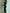 Elegant Green Velvet Long Sleeve Lace Midi Dress