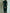 Elegant Green Velvet Long Sleeve Lace Midi Dress