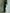 Elegant Green Velvet Long Sleeve Lace Midi Dress