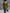 Casual Retro Olive Green Tweed Coat