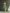 Women's Light Green Cotton And Linen Blend One-Shoulder Wide-Leg Jumpsuit With Tie Waist MDZ3136A8T