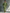 Women's Light Green Cold-Shoulder Maxi Dress With Oversized Puff Sleeves & Side Pockets MDZ1004B7T