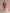 Sporty Retro Pink Cotton Half-Zip Ruffle Sweatshirt Mini Dress