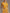 Casual Sporty Retro Leopard Print Trim Yellow Velvet Sweatshirt Wide-Leg Pants Set