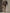 Women's Dark Brown Knitted All-match Mini Dress MDA2971H4T