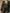Retro Silhouette Printed Green Faux Suede Tassel Maxi Dress