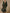 Retro Silhouette Printed Green Faux Suede Tassel Maxi Dress