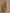 Retro Color-blocked Striped Trim Camouflage Velvet T-shirt And Pants Set