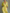 Women's Lemon Yellow Cotton And Linen Blend Maxi Shirt Dress With Tie Waist & Half Sleeves MDZ2884A4T