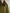 High-end Fashionable Leopard Print Velvet Faux Fur Collar Sweatshirt Wide-leg Pants Suit
