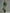 Trendy Retro Sporty Green Velvet Top And Leopard Print Wide-leg Pants Set