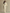Women's Ivory Textured Set With Ribbed Crew Neck & High-Waisted Bottoms, Modern Sophisticated Style Set MDA2231L6I