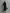 Women's Elegant Black Knitted Turtleneck Long-sleeved Loose-fitting  Midi Dress With No Pockets MDA1974L7AN