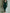 Elegant Green Velvet Long Sleeve Lace Midi Dress