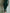 Elegant Green Velvet Long Sleeve Lace Midi Dress