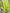 Casual Loose-fitting Green Knitted Mini Dress