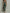 Vintage Lace Trim Striped Flower Print Maxi Dress