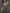 Earth-Tone Double-Layer Mesh Knit Halter Top