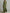 Women's Olive Silky Stretchy Dress With Deep V-Neck & Ruched Detail, Glamorous Maxi Dress MDA0509L8I