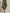 Utility Cargo Jumpsuit Adjustable Drawstring At The Waist